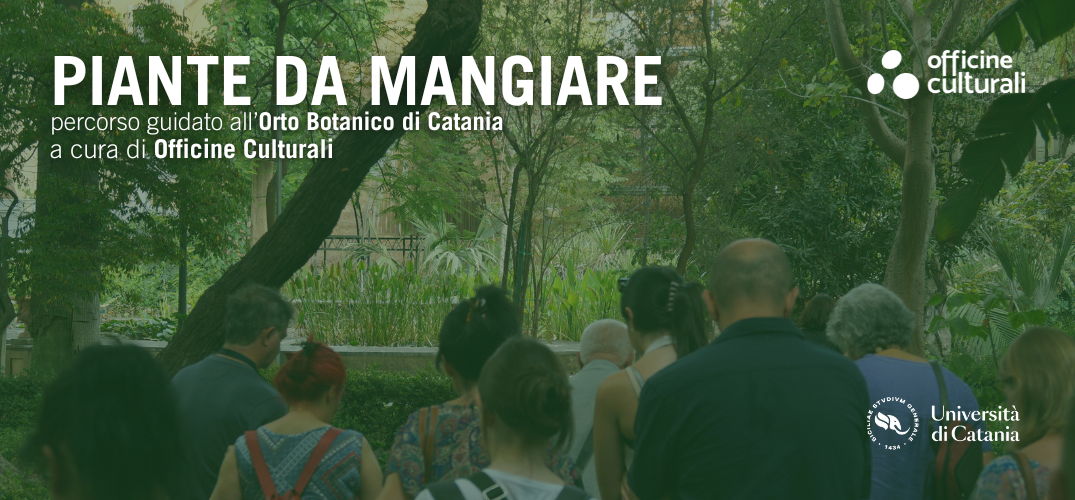 Piante da mangiare | Estate 2024