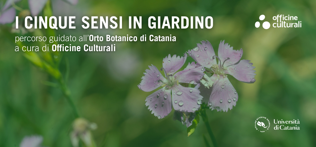 I cinque sensi in giardino | ottobre 2024