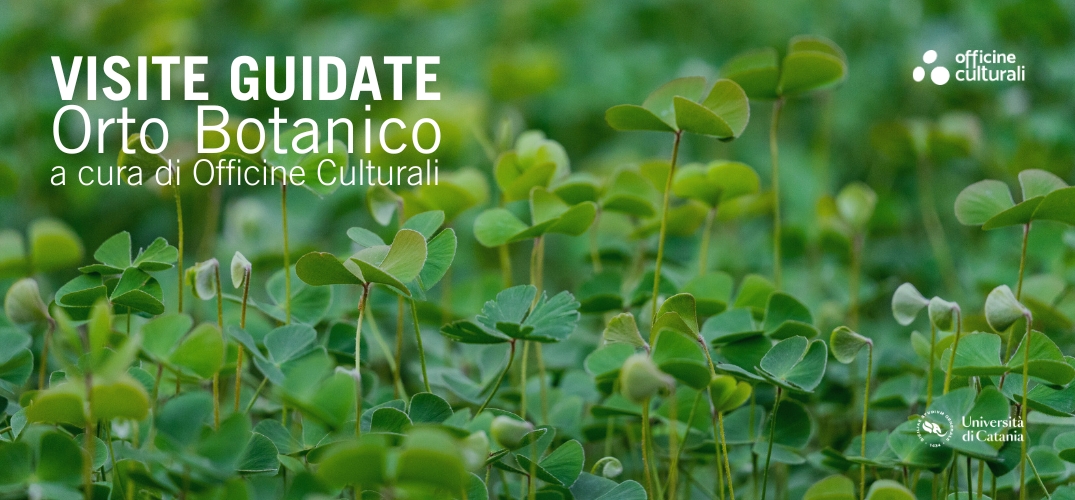 Visite guidate all’Orto Botanico di Catania