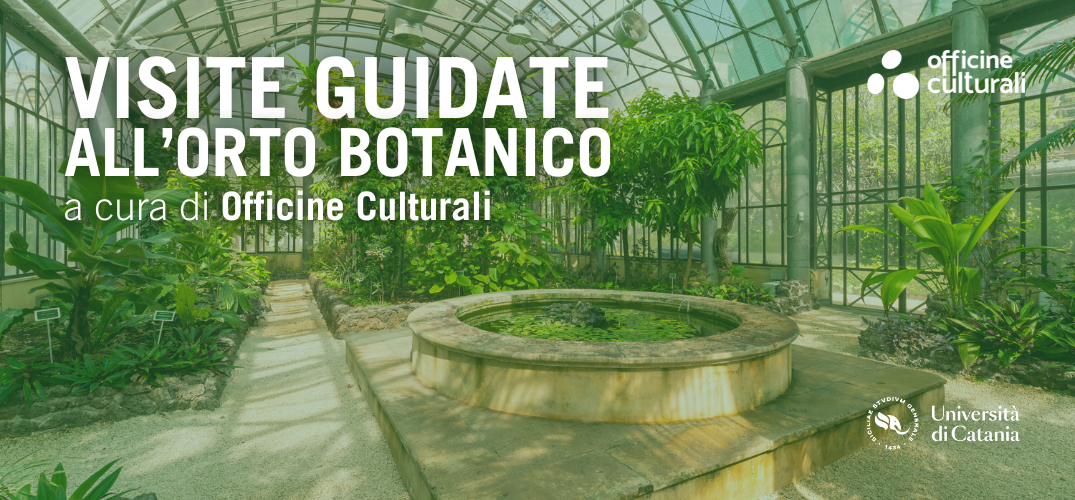 Visite guidate all’Orto Botanico | febbraio 2025