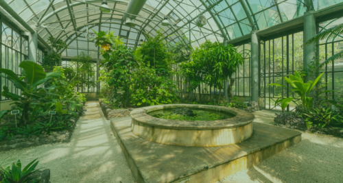 Visite guidate all’Orto Botanico | febbraio 2025