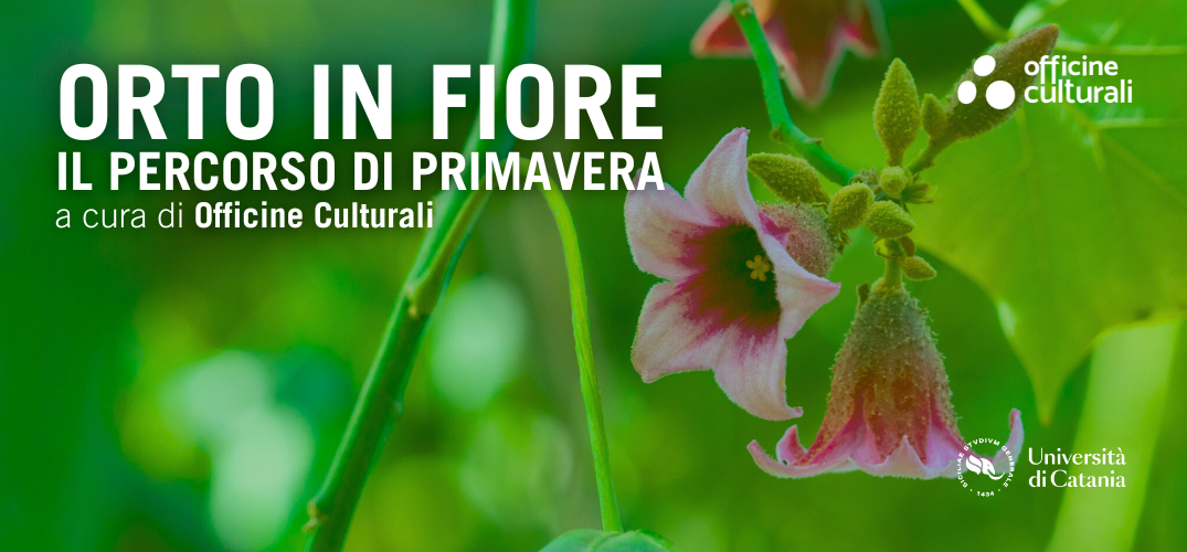 Orto in fiore: il percorso di Primavera | aprile e maggio 2025